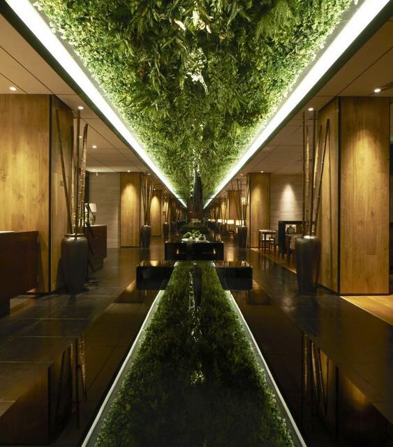 6 Reasons Why Biophilic Design is the Future of Commercial & Hospitality Spaces